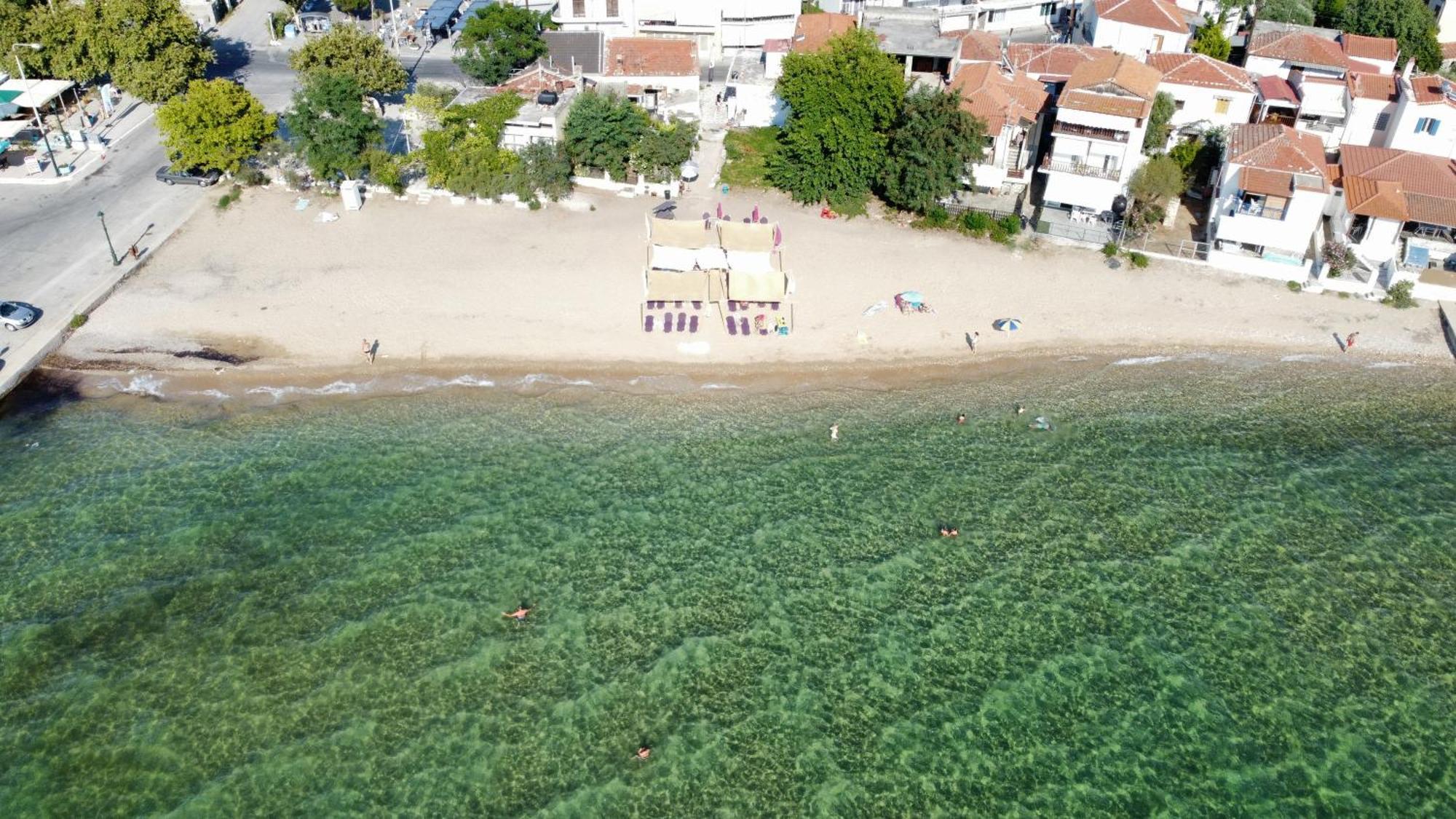 Beachfront Apartment Thassos Skala Kallirakhis Room photo